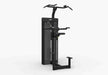 Build upper-body strength with the Spirit Pull Up Dip Assist Machine Dual CSD-PUDA, a pull up machine designed for gyms and dedicated individuals.