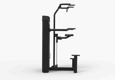 Build upper-body strength with the Spirit Pull Up Dip Assist Machine Dual CSD-PUDA, a pull up machine designed for gyms and dedicated individuals.